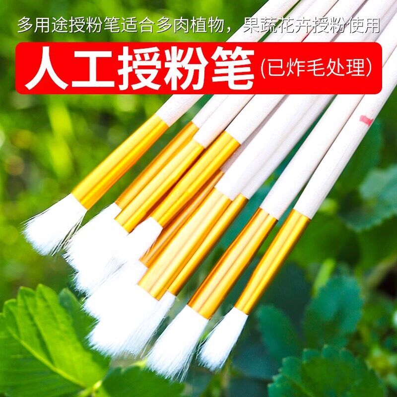 速发人工授粉笔授粉器草莓多肉西红柿无花果树授粉神器花粉点花授