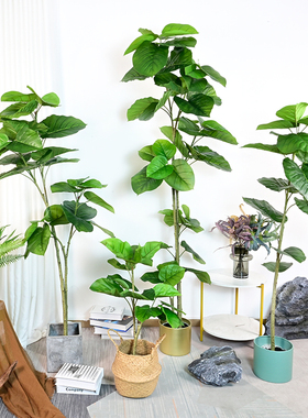 仿真心叶榕落地盆栽菩提树家居室内假植物客餐厅假树橱窗软装设计