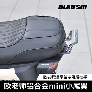 欧老师适用九号DZ MAX110 F90M MZmix改装短尾铝合金后扶手小尾翼