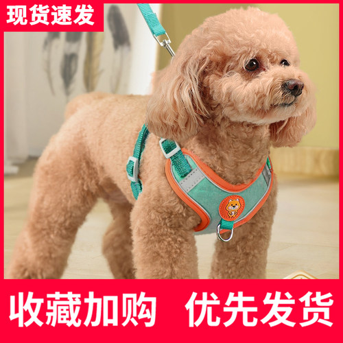 背心式狗狗牵引绳小型犬泰迪比熊博美胸背带小狗幼犬遛狗绳狗链子