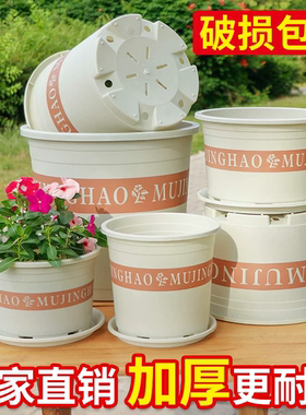 小号加仑盆绿萝加仑花盆大号矮款家用室外阳台树脂塑料印花透气