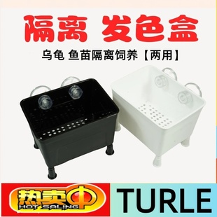 多功能孵化器乌龟隔离盒龟苗活体黑白发色盒鱼缸孔雀鱼饲养盒子