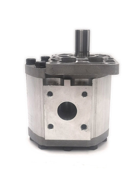 立扬牌 CBN F532 550 563 580系列齿轮泵铲车工程车液压泵