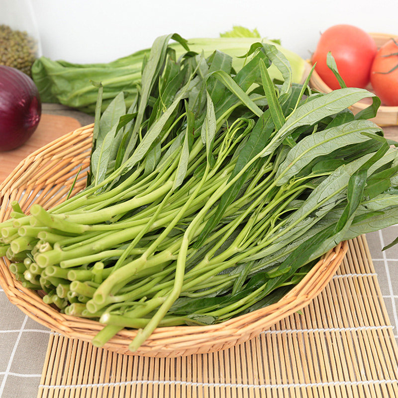 白梗柳叶空心菜种子小叶秋季四季播种阳台盆栽田园花园蔬菜种子籽