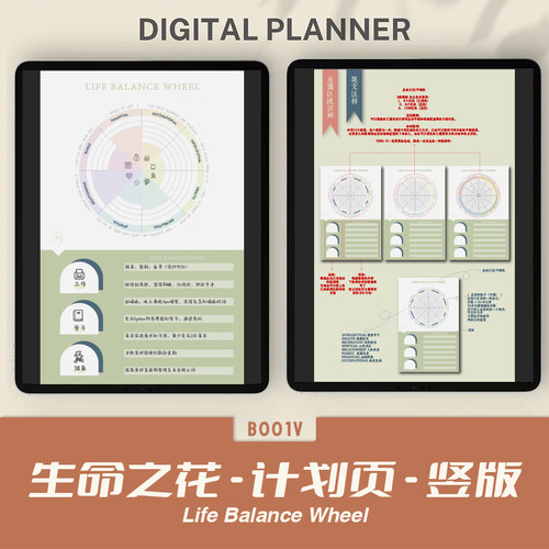 手账可打印计划页pdf生命之花LIFEBALANCE计划本分析总结建立目标