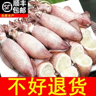 【顺丰包邮】6斤全籽籽乌满籽海兔子笔管鱼鱿鱼仔新鲜海鲜真籽1斤