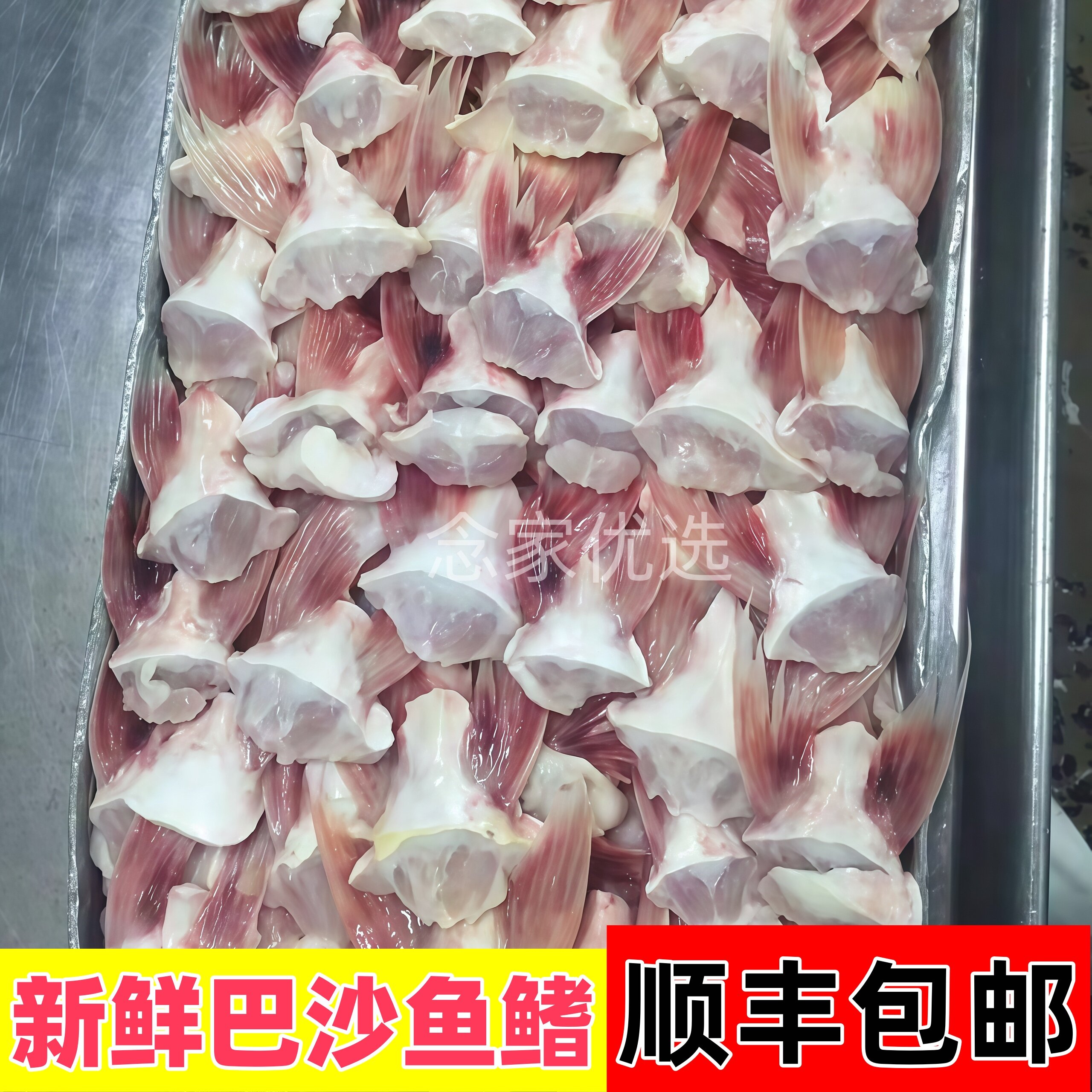 新鲜巴沙鱼鳍回鱼刺翅鮰鱼鳍顺丰