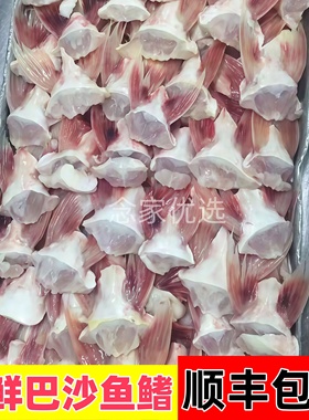 【新鲜鱼鳍】新鲜巴沙鱼鳍回鱼刺翅鮰鱼鳍回鱼巴沙鱼翅下巴