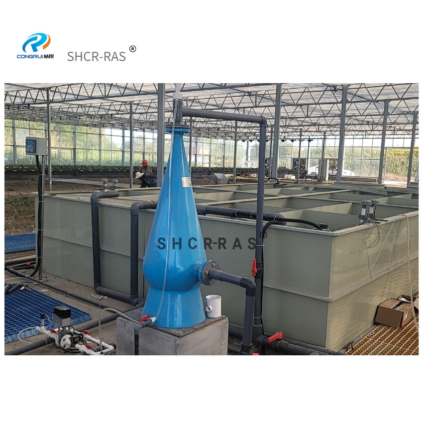工厂化循环水养殖育苗系统 工厂化水产一体式水处理系统