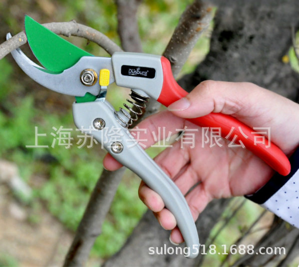 德国德狮宝PS-8G修枝剪园林工具果树剪子修剪树花枝园艺粗枝剪图片