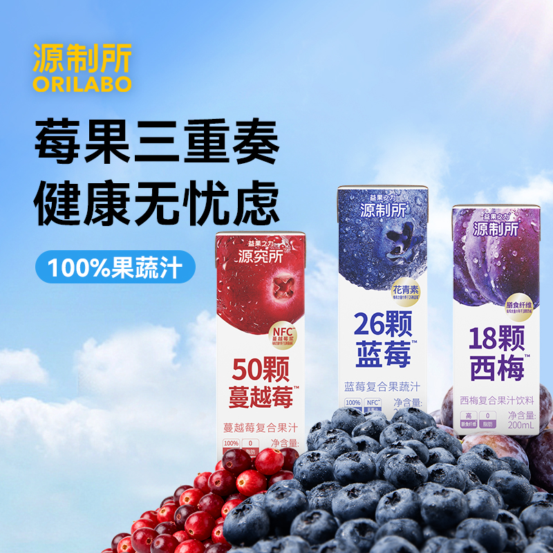 源制所果蔬汁饮料0脂肪0额外加糖