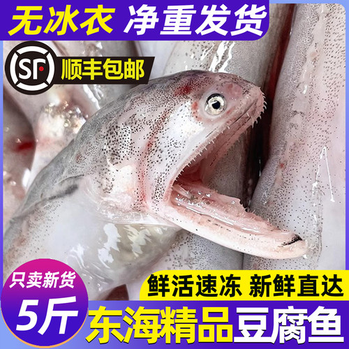 精品新货豆腐鱼龙头鱼新鲜无冰衣