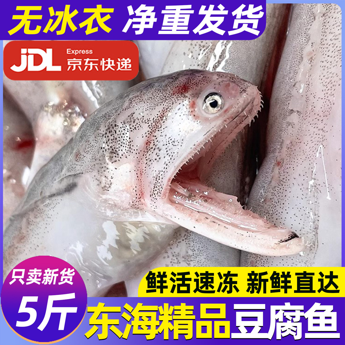 精品龙头鱼新鲜冷冻海生鲜活水产舟象山特产九肚鱼丝丁水潺豆腐鱼