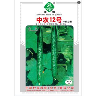 中蔬中国农科院蔬菜种子绿心黄瓜籽菜种子中农12号黄瓜种子