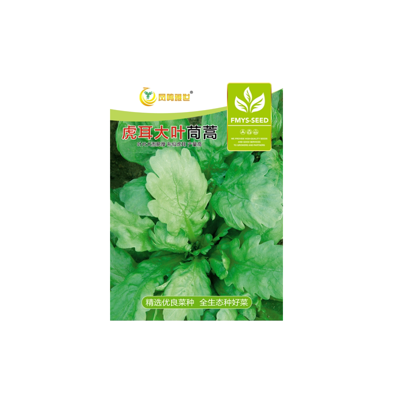 小叶茼蒿凤鸣雅世四季高产春秋季