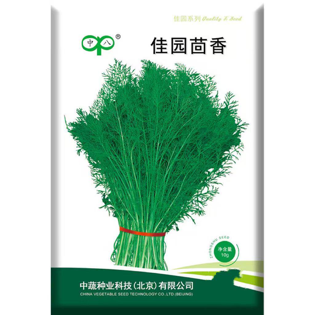 中蔬中国农科院种子割茬茴香种籽家庭园艺种子