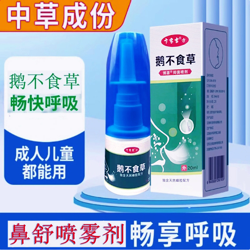 鹅不食草人鼻子不通气儿童老人