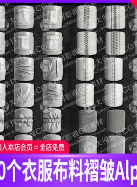 ZBrush衣服裤子口袋缝线纽扣拉链Alpha笔刷zb布料褶皱zb高度图TIF
