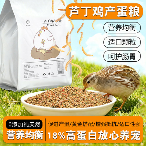 芦丁鸡产蛋粮营养高钙产蛋鸡饲料