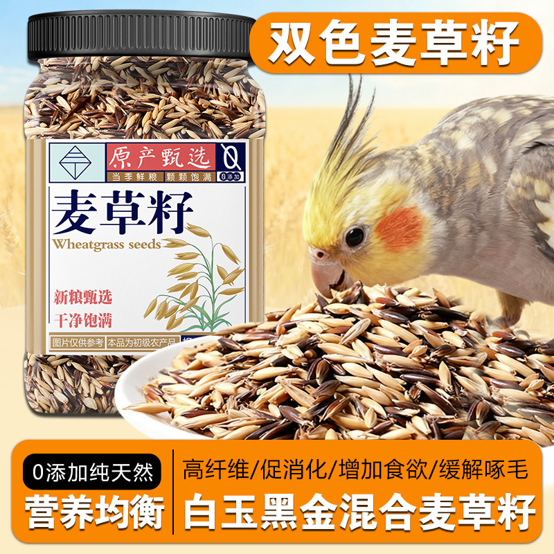 虎皮玄凤专用麦草籽鹦鹉粮 高纤维促消化缓解啄毛 天然谷物无添加