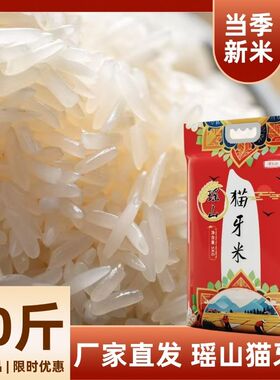 广西丝苗长粒香米味初色猫牙米新米特产5kg袋装礼品送长辈现发