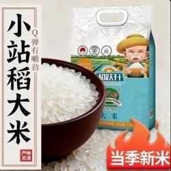 【现磨新米】5斤正宗圆粒米优质大米批发厂家天 津小站稻米正品