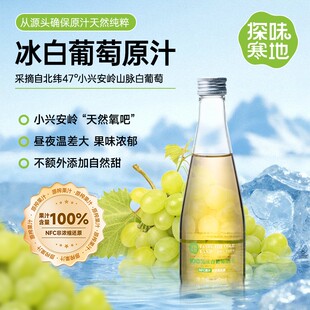 探味寒地【顺丰发】100%冰白葡萄原汁NFC原果鲜榨白葡萄320ml*6瓶
