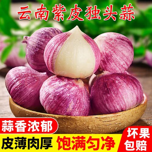 新鲜紫皮蒜紫皮大蒜直发