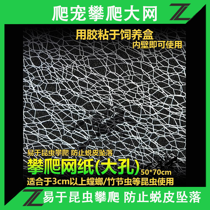 螳螂饲养盒非洲幽灵螳螂魔花刺花螳螂活体螳螂爬虫宠箱眼斑攀爬网