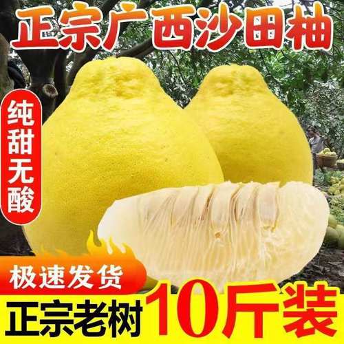 广西沙田柚子新鲜香甜柚子大果