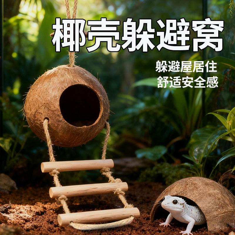 爬宠躲避屋椰壳窝椰子造景用品守宫蜥蜴金丝熊房子别墅小窝装饰,宠物/宠物食品及用品,爬宠躲避/造景,淘宝优惠券,粉丝福利购,淘宝优惠卷