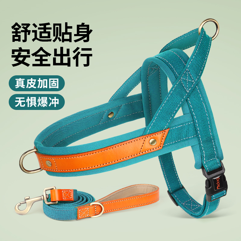 一町狗胸背真皮加固遛狗绳
