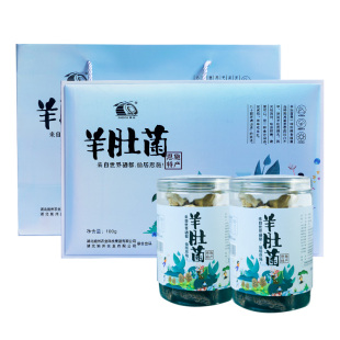 羊肚菌罐装 施州 盒菌菇干货土家特产养生菌类煲汤食材无硫礼 100g