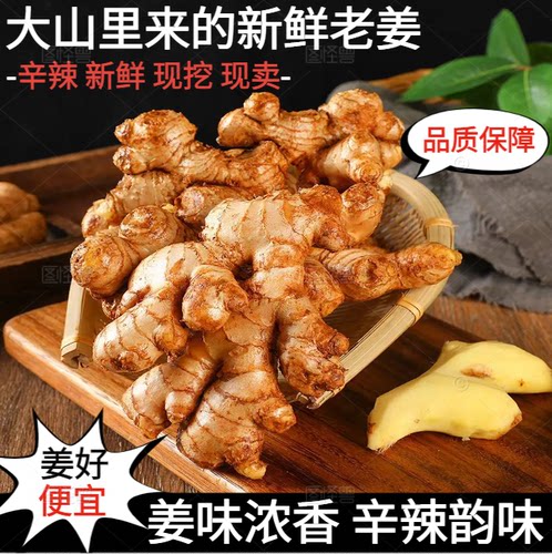 湖南大山新鲜老姜现挖现卖生姜农产品品质保障辣味浓郁