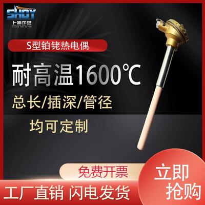 铂铑热电偶/S型耐高温/WRP-130131/0-1600度刚玉管测温高精度进口