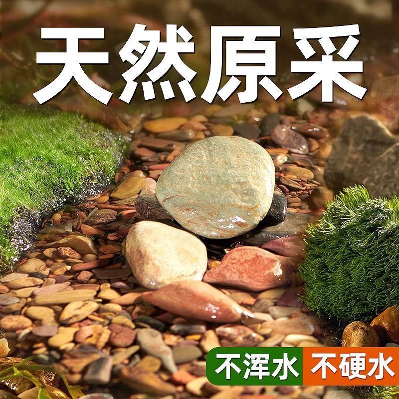 天然溪流沙石底砂鱼缸造景摆件乌龟缸专用装饰水族箱铺底石头