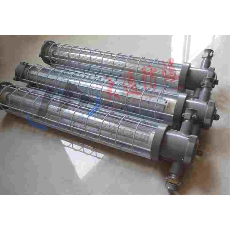 DGS24/127L(A)防爆LED巷道灯 电压85V~265V 功率24W