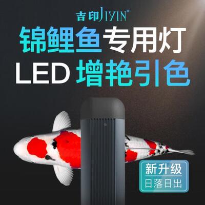 吉印 锦鲤鱼专用灯鱼缸LED增色增艳发色引色专业照明水族箱锦鲤灯