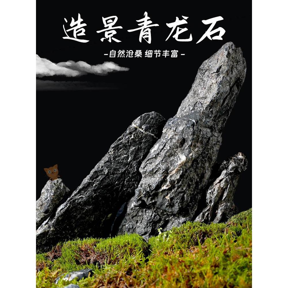 鱼缸造景石假山松皮石青龙石天然真石头水陆盆景草缸生态原石摆件