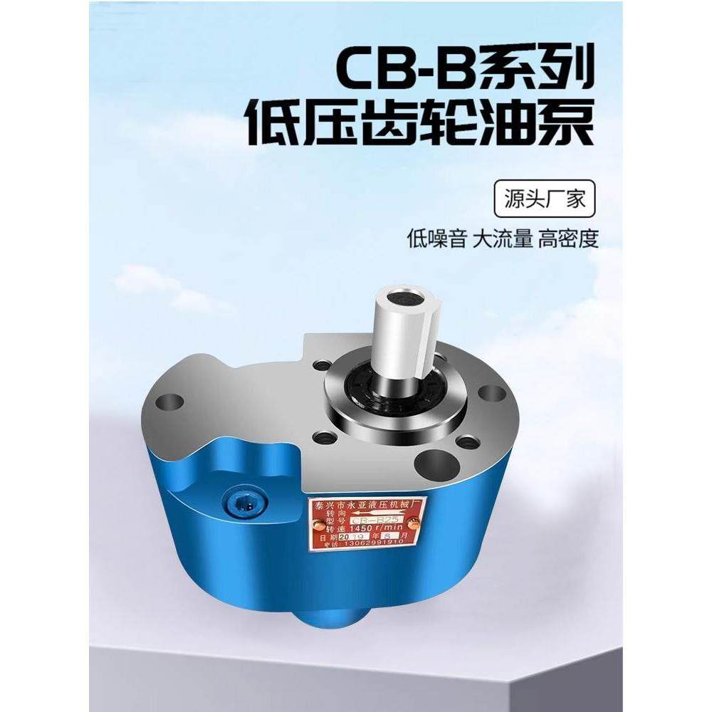 CB-B10/B6/B16/B20/B25/B32/B40/B50/B80/B63/125F齿轮油泵TH