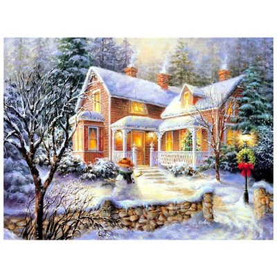 Diamond Painting Kits for Adults Full Drill Winter Scenery D