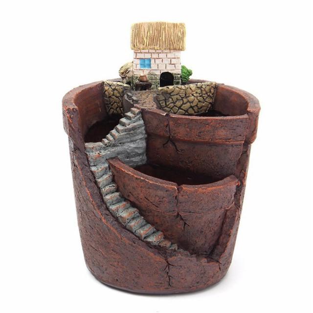 AMW Succulent Plant  Plants Pot with City of Sky Flo