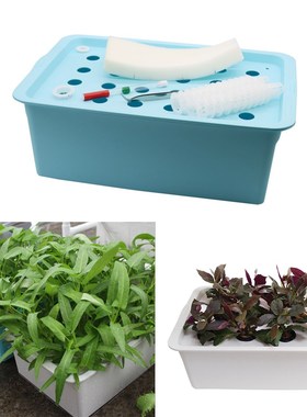 24 Holes Nursery Hydroponic Box Soilless Cultivation Plant S
