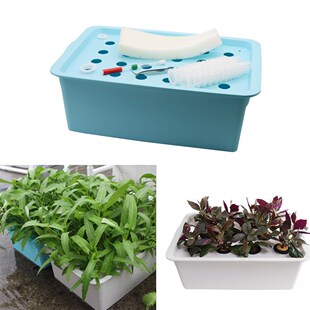 24 Holes Nursery Hydroponic Box Soilless Cultivation Plant S