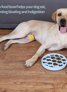 Pet Slow Food Bowl Dog Choke Prevention Bowl Non-Slip Dog Bo