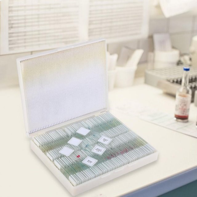 Prepared Biological Section Slide Set for Basic Biological S