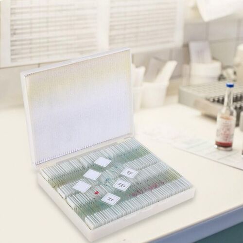 Prepared Biological Section Slide Set for Basic Biological S