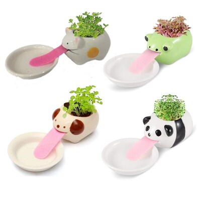 Cute Polar /Bear Blue /Bear Monkey Ceramic Flower Pot Small