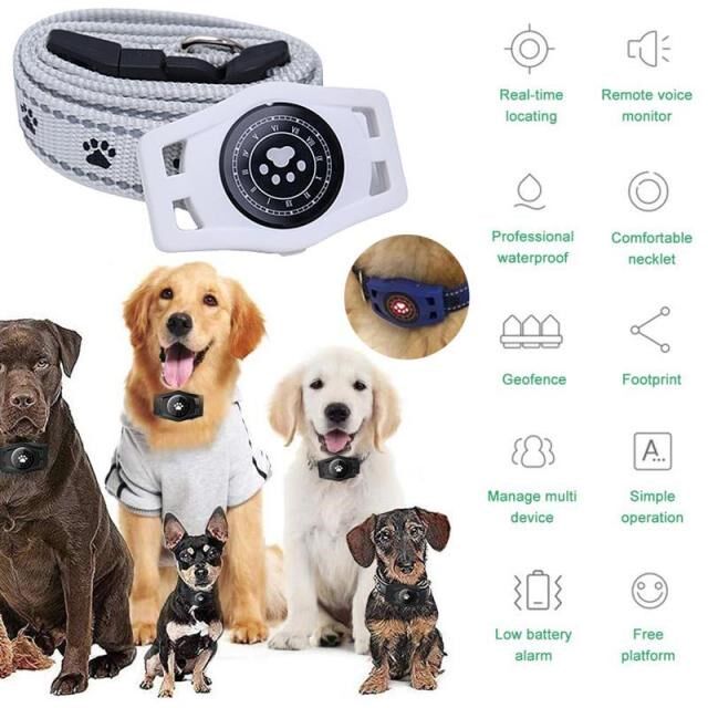 Small Pet GPS Tracker For Dogs  Tracking Device Loor W