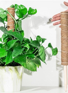 Coconut Climbing Stick Plant Climbing Rod Support Maintain M